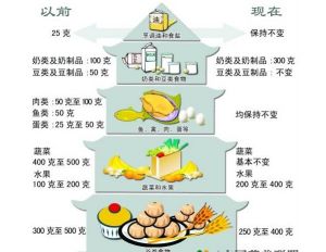 膳食宝塔(摄取营养指导性建议)