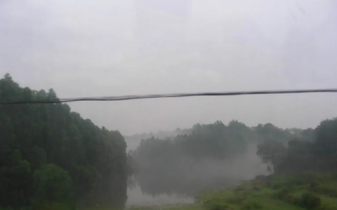 瘴气(中国古代南方多种疾病的综称)