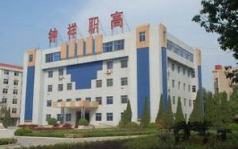职业高中(职业高级中学)