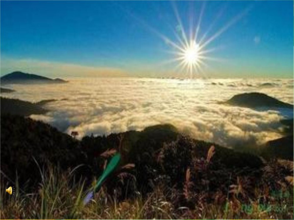 阿里山纪行(游记散文)