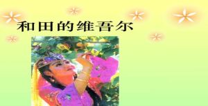和田的维吾尔(权鹏飞著作的书籍)