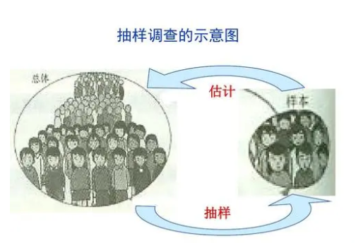 抽样调查(数学概念)