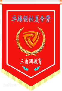 夏令营(一种文化活动)