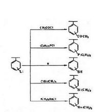高分子化学(综合性学科)