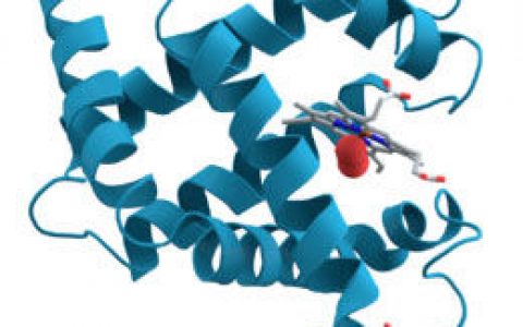 横纹肌溶解症(肌肉溶解)