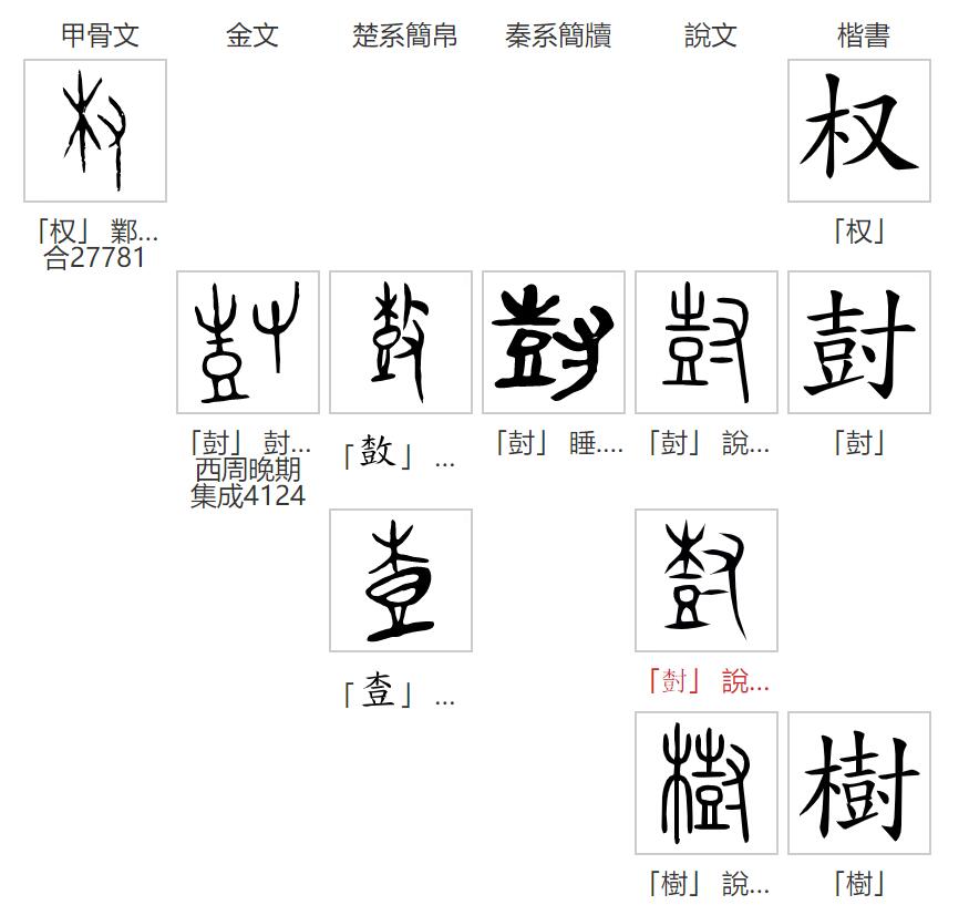 权(汉语文字)