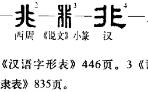 非(汉语汉字)