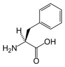 苯氨基丙酸(医学术语)