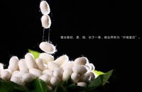 柞蚕丝(以柞蚕所吐之丝为原料缫制的长丝)