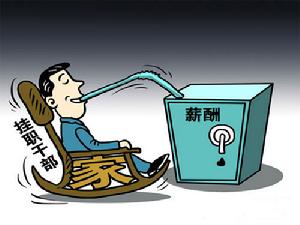 挂职干部(政治名词)
