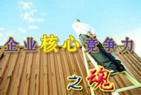核心竞争力(为企业带来比较竞争优势的资源)