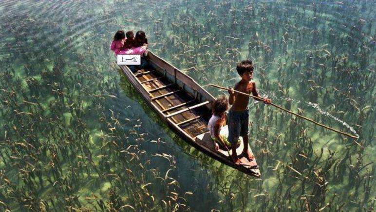 海洋吉普赛人(游牧民族)