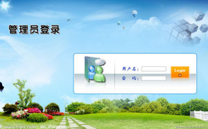 管理员(负责维护或管理更新的实际个人或帐号)