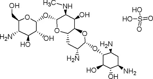 硫酸安普霉素(氨基环醇类抗生素)