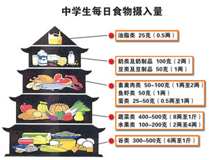 全国学生营养日(国家节日)