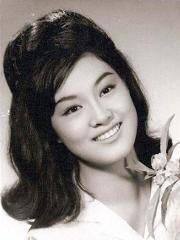 何莉莉(影视演员)