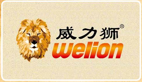 威力狮(中国汽车养护行业标杆企业)