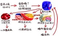 氧化应激(体内氧化与抗氧化作用失衡的一种状态)