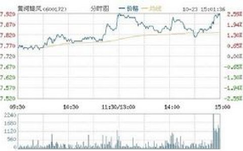 黄河旋风(生产人造金刚石的民营上市公司)