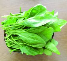 糖尿病的饮食治疗(冯正仪和陈衔城于2008年出版的书籍)