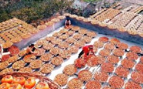 月柿(柿饼良种水柿刨皮晒制而成)