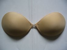 乳贴(复盖乳晕的一种贴状物体)