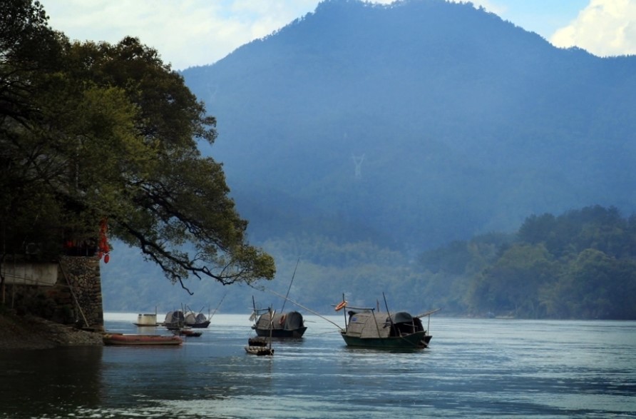 莲都区(浙江省丽水市辖区)