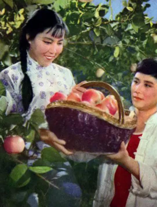 朝阳沟(1963年曾未之执导的电影)