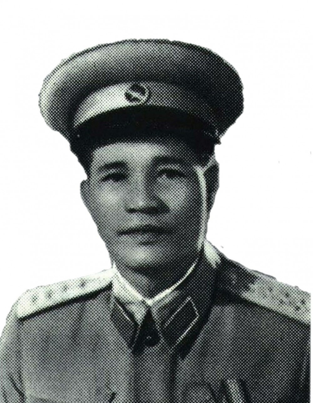 阮志清(越南人民军主要领导者)