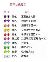 YY会员(多玩公司旗下YY语音软件付费享受特权)