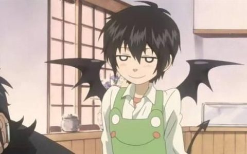 六条壬晴(动漫《隐王》男主角)