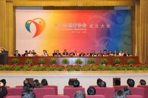 中华志愿者协会(全国性社会团体组织)