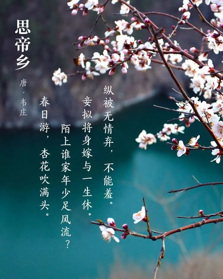 思帝乡(晚唐韦庄创作的小令)
