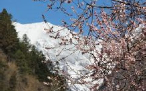 雨崩村(位于梅里雪山东麓的景点)