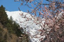 雨崩村(位于梅里雪山东麓的景点)