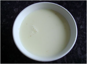 姜撞奶(珠江三角洲一带民间传统美食)
