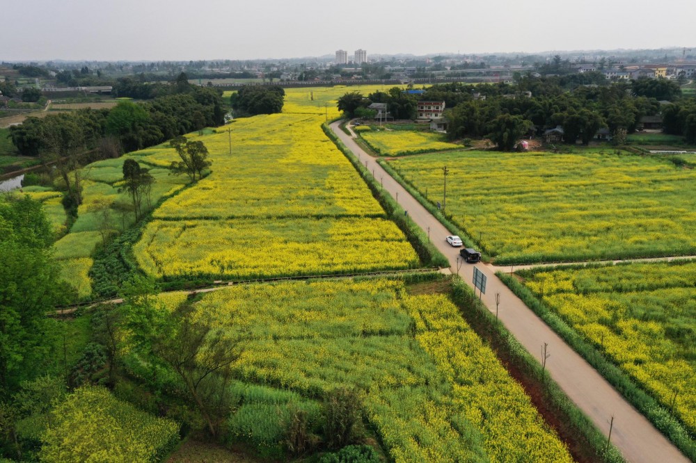 大足区(重庆市辖区)