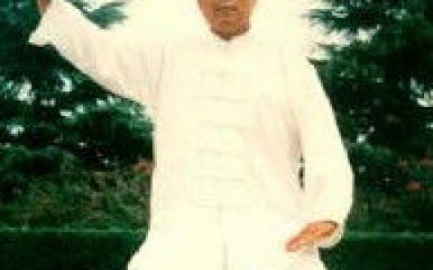 内家拳(强身健体的拳术)