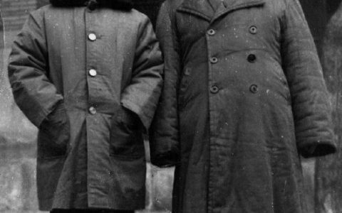 菜园小记(1961年吴伯萧写的作品)