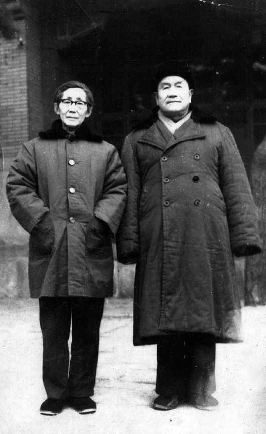 菜园小记(1961年吴伯萧写的作品)