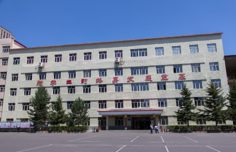 鸡西实验中学(鸡西市公办中学)