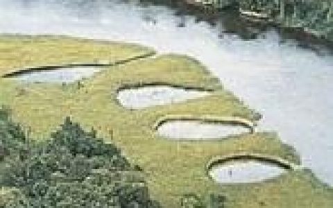 西非(非洲西部地区)