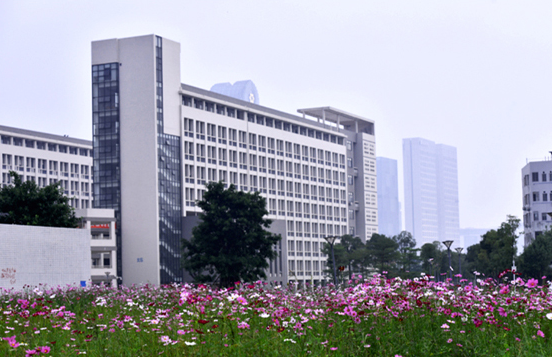 广东教育学院(普通本科学校)