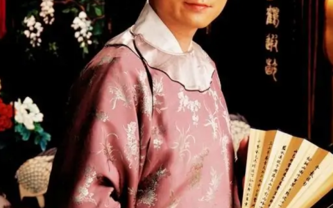 九龙佩(2009年喻瀚湫执导的电影)