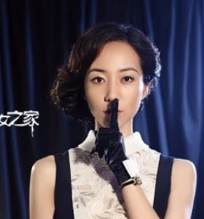 淑女之家(2013年林清振、林龙执导的电视剧)