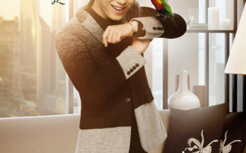 漂洋过海来看你(2017年陈铭章执导的电视剧)