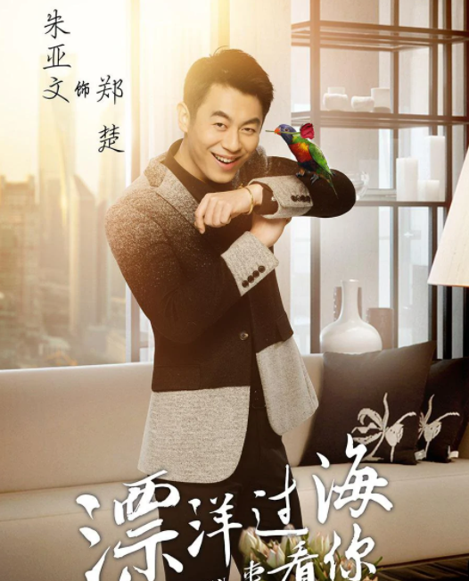 漂洋过海来看你(2017年陈铭章执导的电视剧)