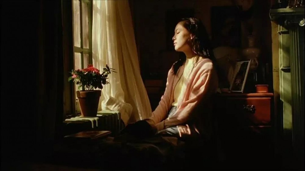 少女小渔(1995年张艾嘉执导的电影)