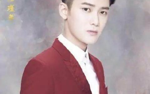 国民老公(2018年成志超、田少波执导的电视剧)