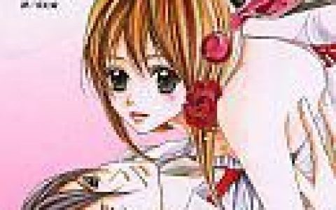 放课后的秘密(小学舘-东立出版社出版的图书)